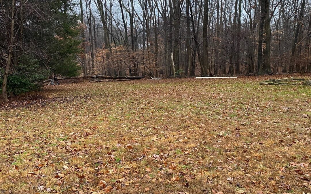 We Bought a Farm!  Now What?