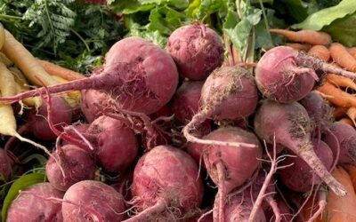 Eat Local – Try Something New!