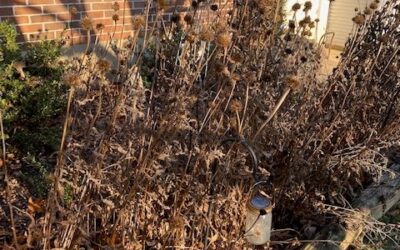 But It Looks So Ugly!