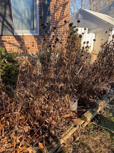 But It Looks So Ugly!