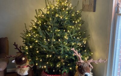 A Single Interaction