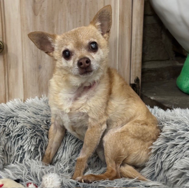 Things Are Rarely as They Appear